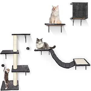 Read more about the article cat wall furniture