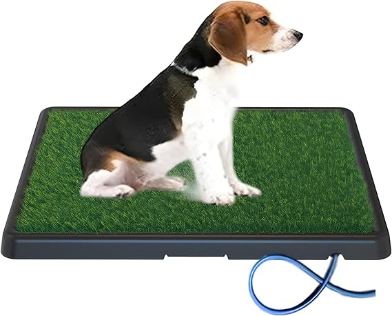 Read more about the article grass pads for dogs， puppy grass