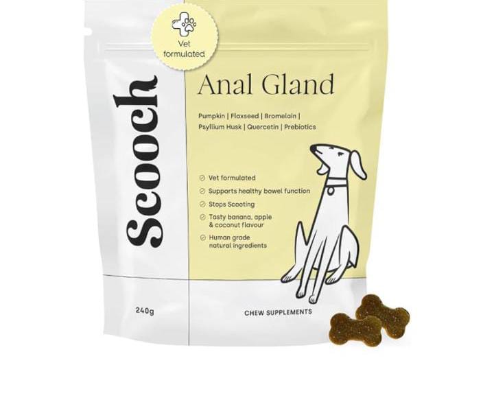 Read more about the article Dog supplement