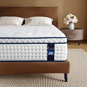 Queen Mattress 10 Inch